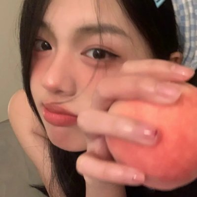 企鹅之岛:福克兰